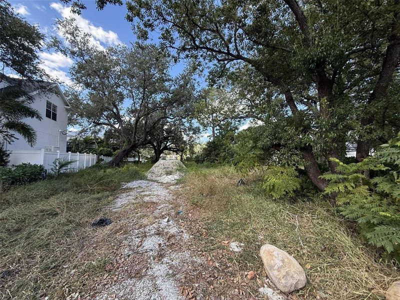 Natural landscape and outdoor views near  in Tampa (Image 3).