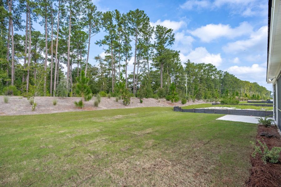 Natural landscape and outdoor views near Del Webb Charleston at Nexton in Summerville (Image 42). Natural landscape and outdoor views near Del Webb Charleston at Nexton in Summerville (Image 42).