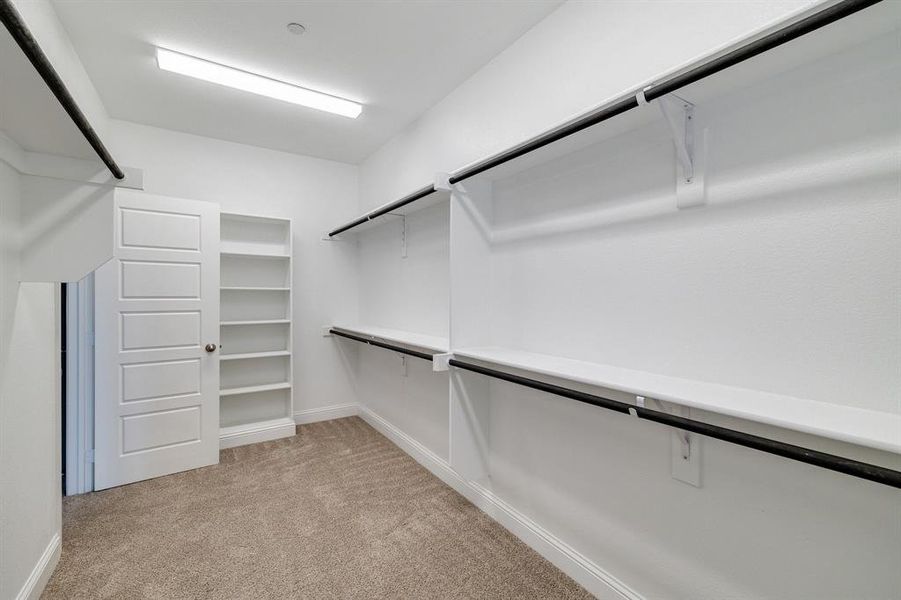 Spacious closet featuring light carpet