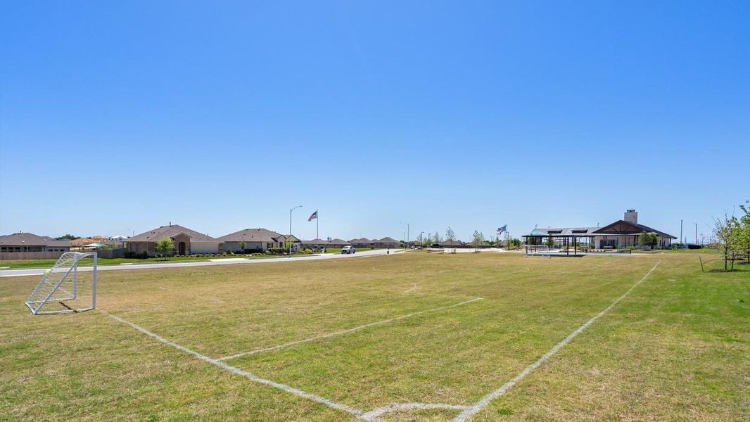 SOCCER FIELD