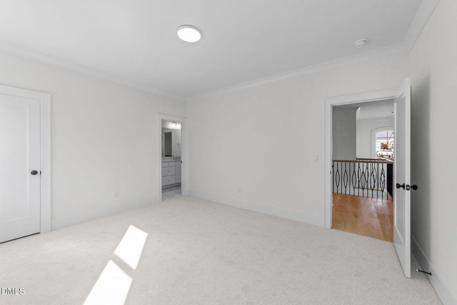 50-web-or-mls-VB4A5684