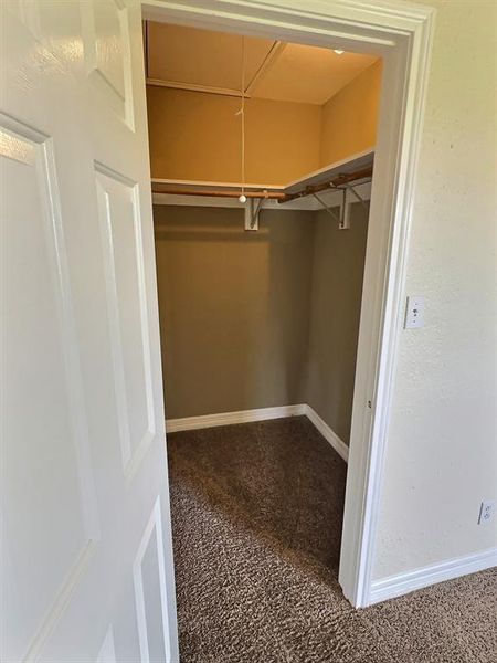 Walk in closet with attic access and dark colored carpet