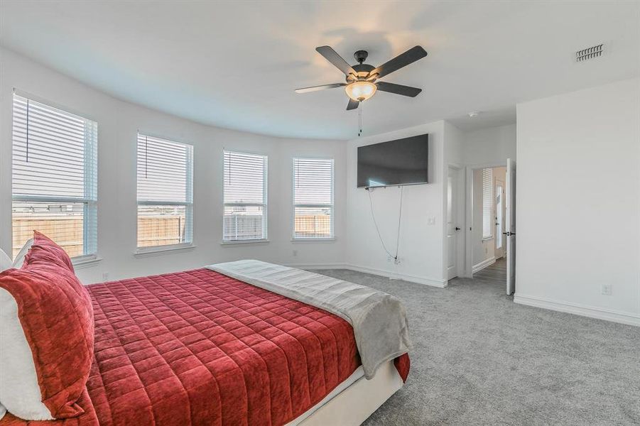 Carpeted bedroom featuring multiple windows and ceiling fan