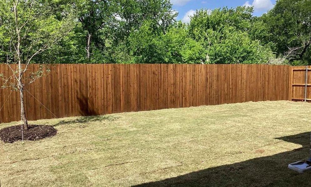 Backyard Construction Progress