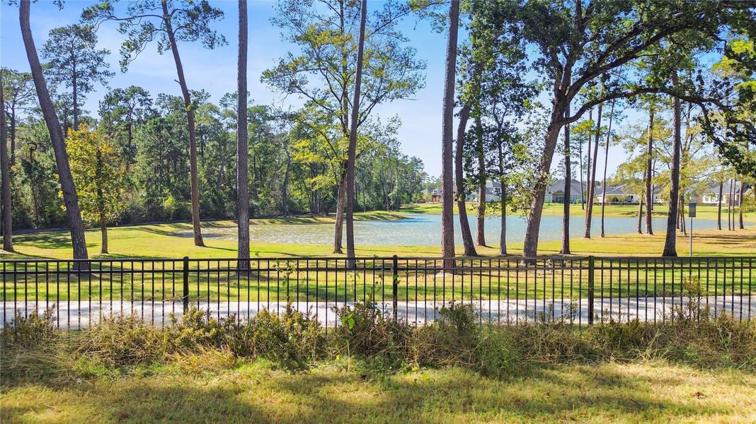 Natural landscape and outdoor views near Audubon Park 70' in Magnolia (Image 28).