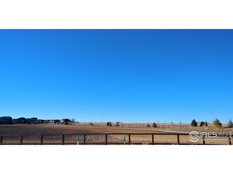 View of Open Space Field