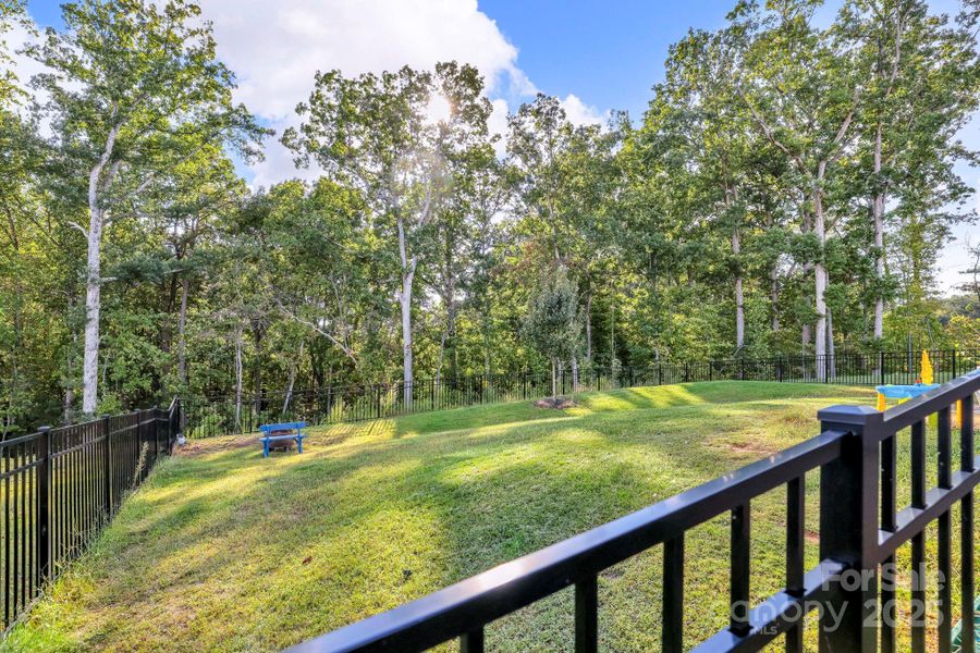 Natural landscape and outdoor views near Calvin Creek in Troutman (Image 23).