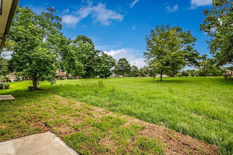 Back door opens to the green space for a great view of nature!