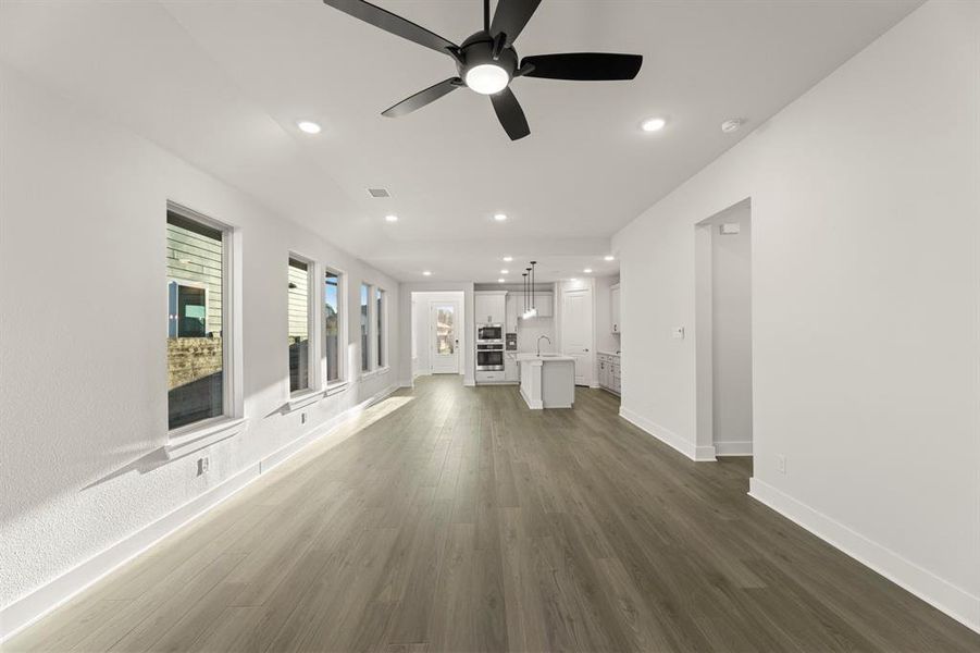 13. 3124 Lenten Rose - Family (2)