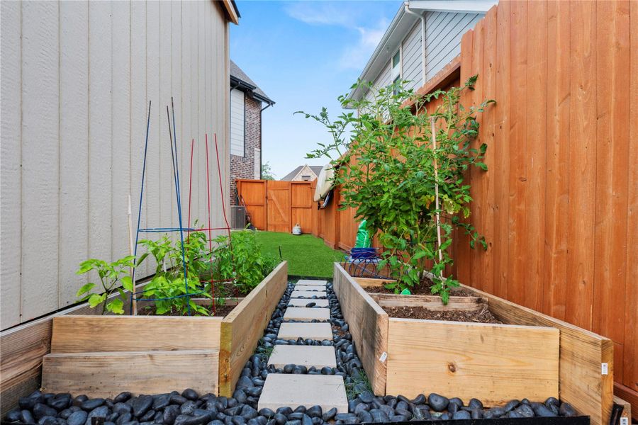 You can grow your own vegetables and herbs!