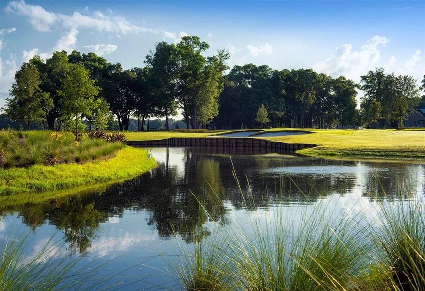 Natural landscape and outdoor views near  in Ocala (Image 51).