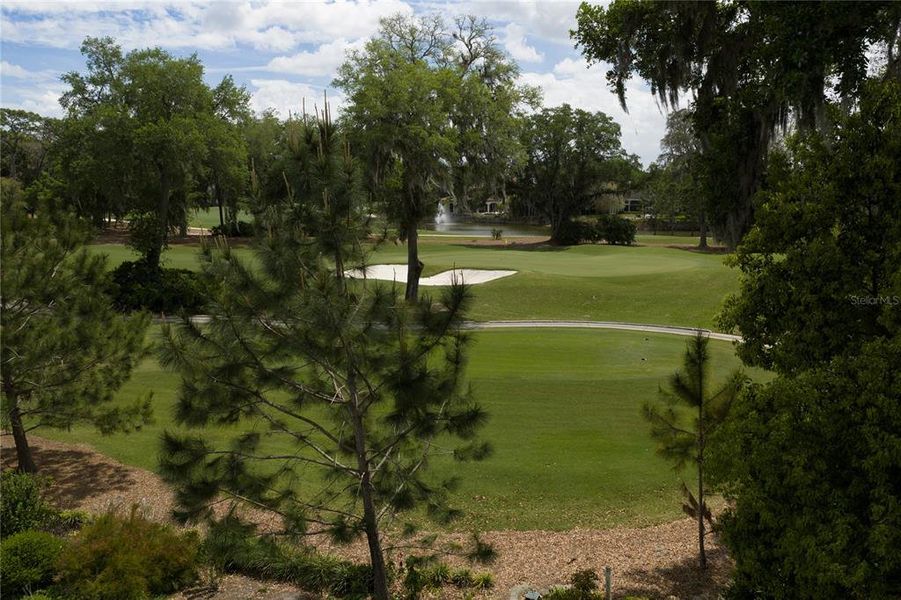 Natural landscape and outdoor views near  in Lutz (Image 12).