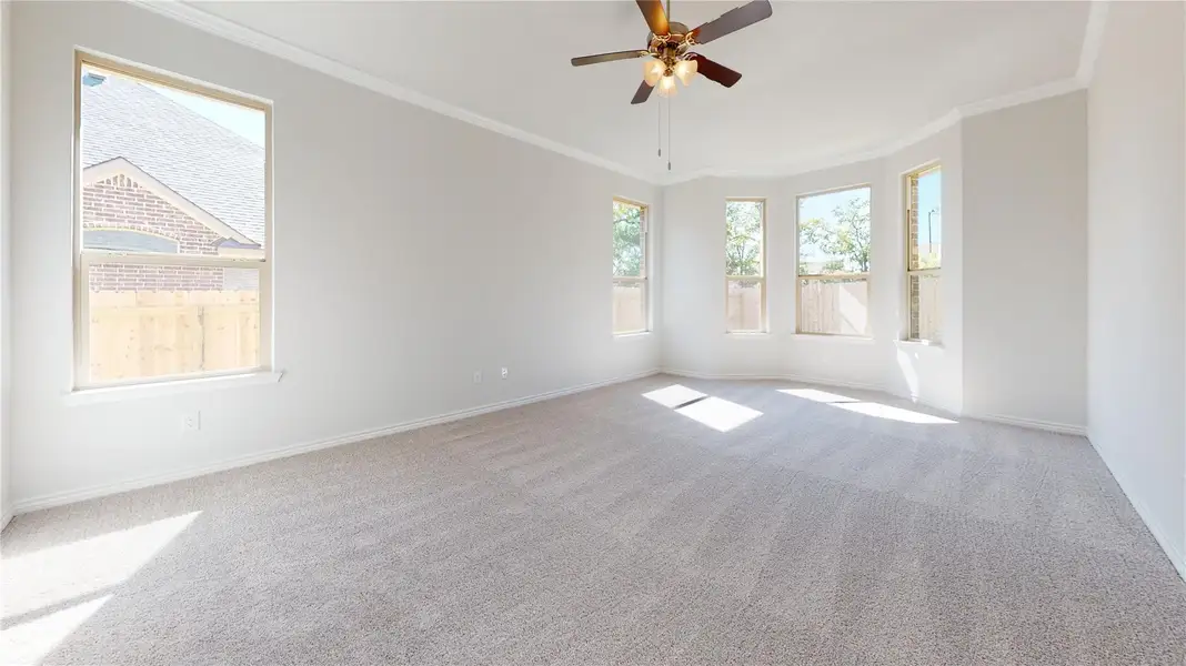 representative photo