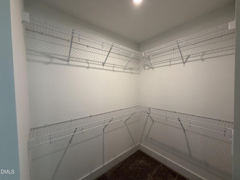 IMG_7280 1 IMG_7280 1