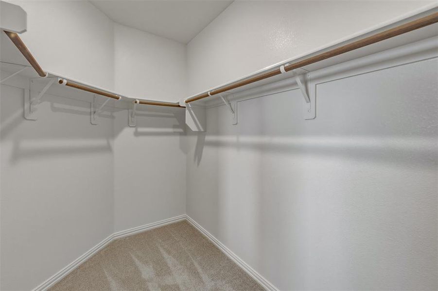Walk-in closet with beige carpet flooring, white walls, white baseboards, and built-in white shelving with wood-finish rods Walk-in closet with beige carpet flooring, white walls, white baseboards, and built-in white shelving with wood-finish rods