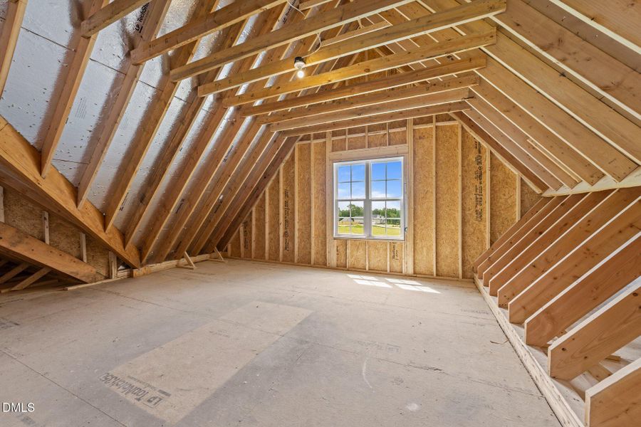 35-web-or-mls-3D5A2138