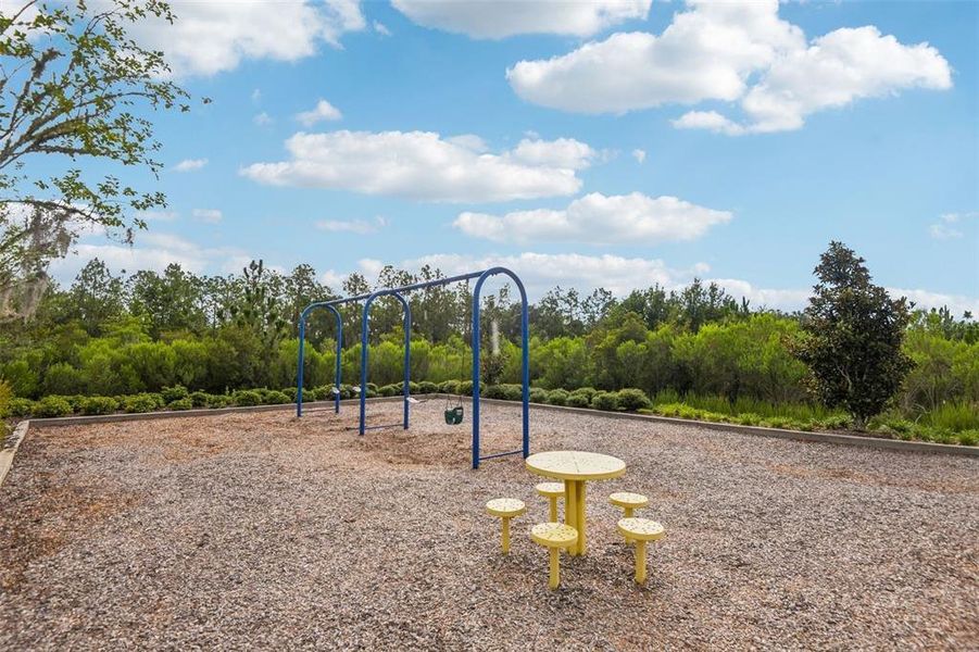 Community amenities in , Wesley Chapel (Image 31). Community amenities in , Wesley Chapel (Image 31).