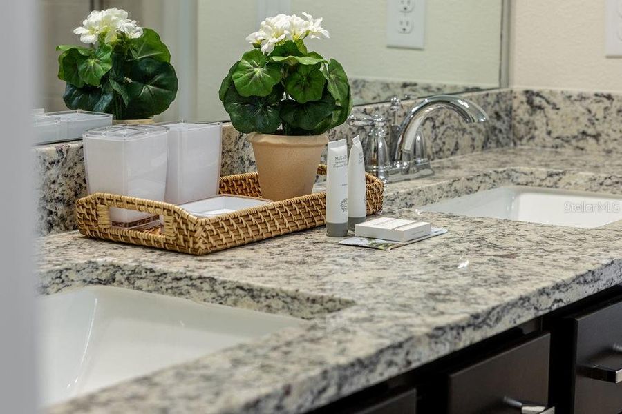 Furnished interior view inside a new home in , Clermont (Image 17).