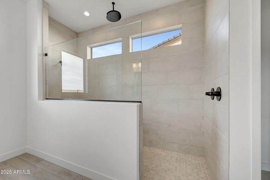 L163-HDR032 L163-HDR032