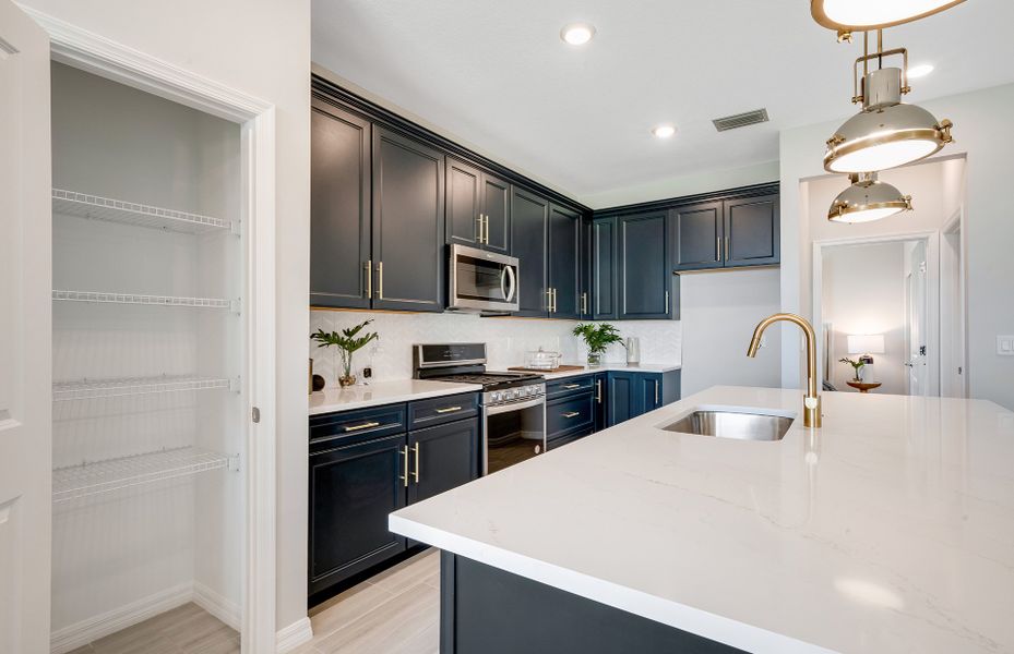 Kitchen Pantry