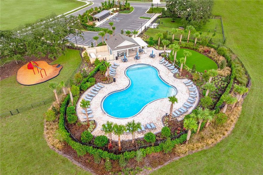 Community amenities in Palm Wind, Hudson (Image 30).