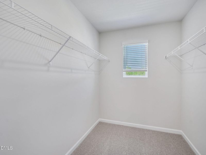 Thorton Finesse (17)