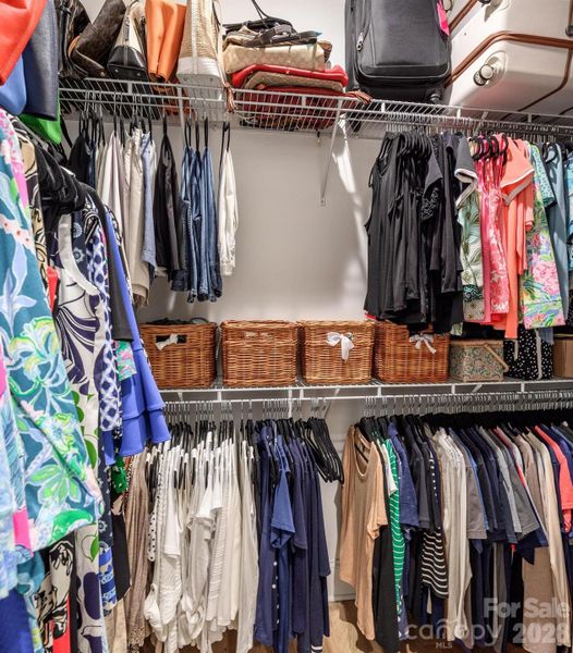 Primary Bedroom Closet #1