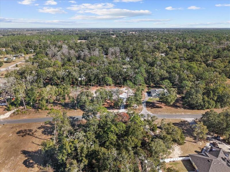 Natural landscape and outdoor views near  in Chiefland (Image 57).