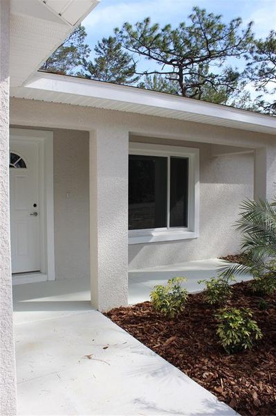 Exterior details and patio area of a home in , Ocklawaha (Image 26).