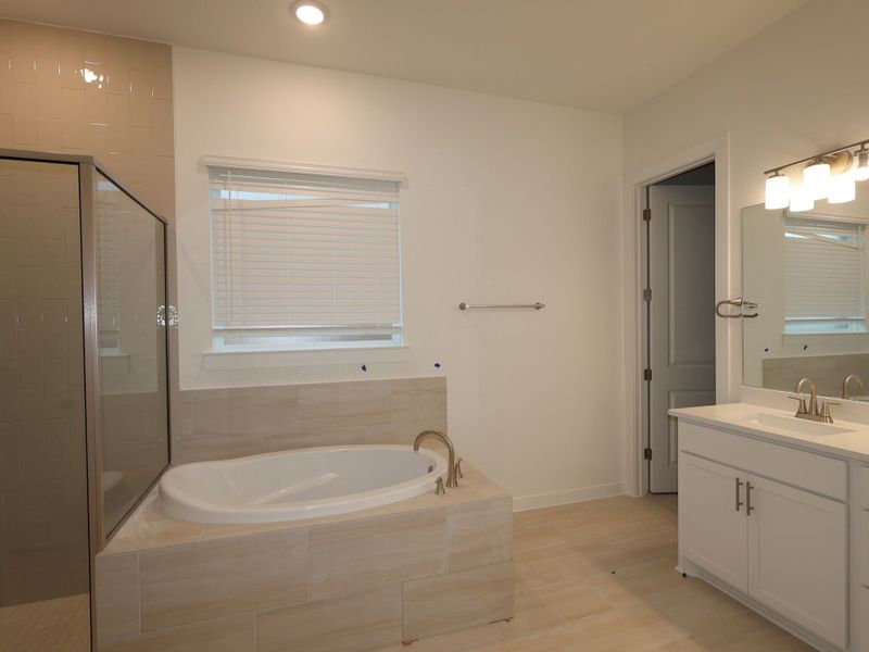 Owner's Bathroom
