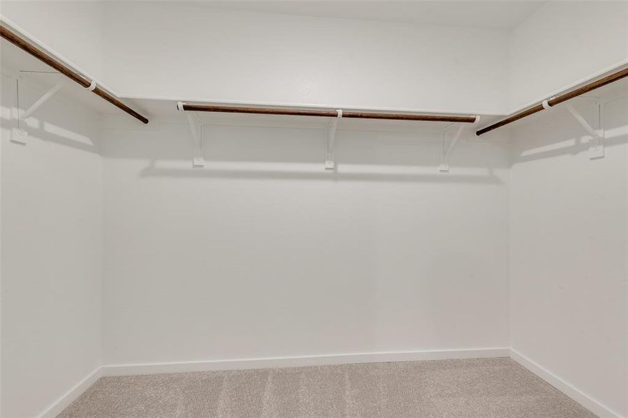 Walk in closet with carpet flooring