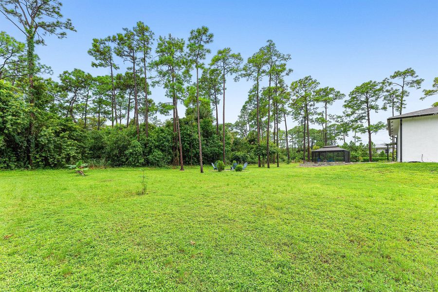 Natural landscape and outdoor views near in Loxahatchee (Image 22). Natural landscape and outdoor views near in Loxahatchee (Image 22).