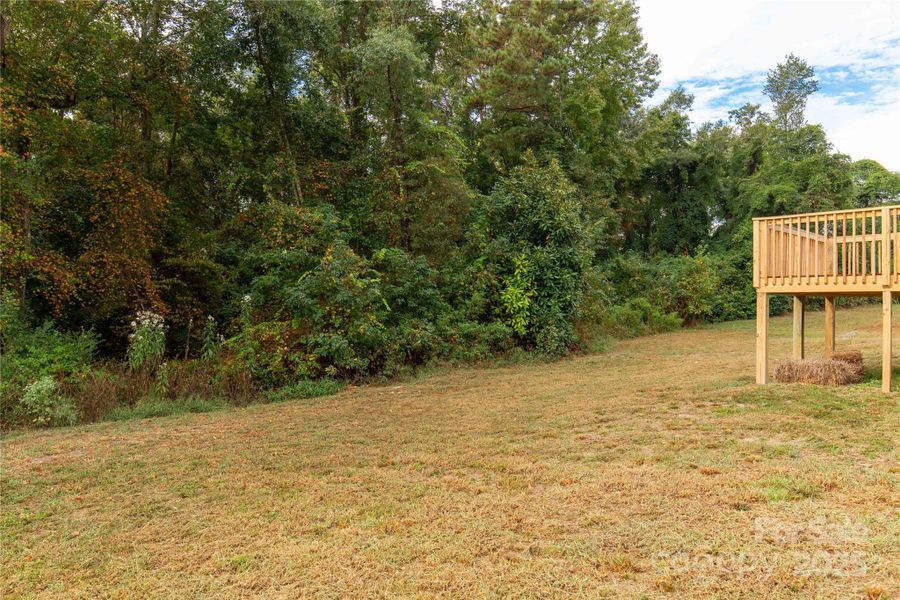 Natural landscape and outdoor views near  in Heath Springs (Image 19).