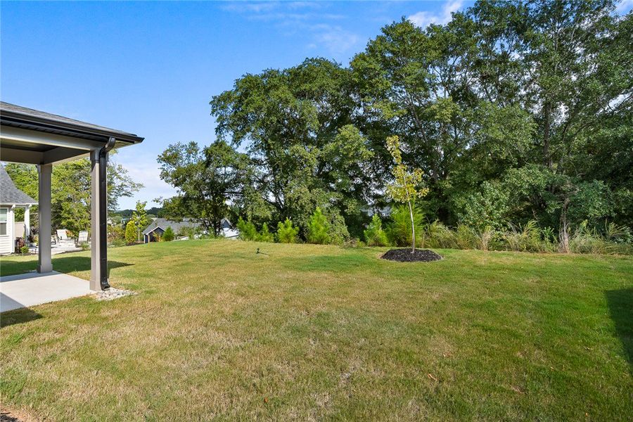 A spacious grassy lawn bordered by mature trees cr