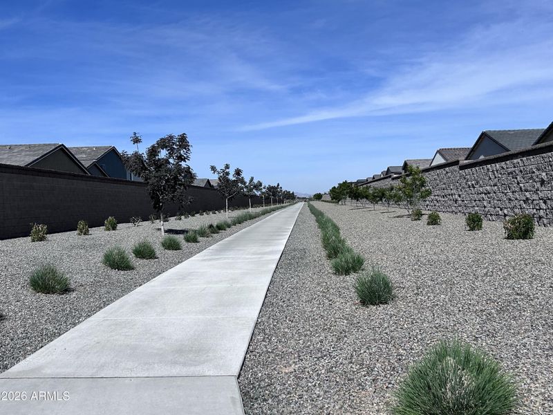 23 Behind House 23 Behind House