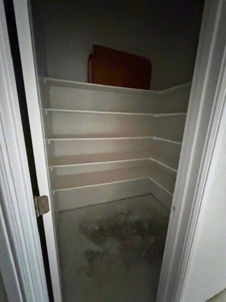 Walk In pantry Walk In pantry