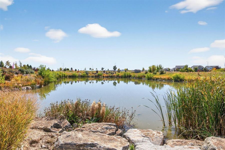 Natural landscape and outdoor views near Green Valley Ranch in Aurora (Image 29).