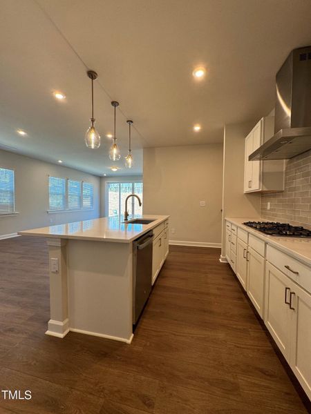 BL20 kitchen island and gas range