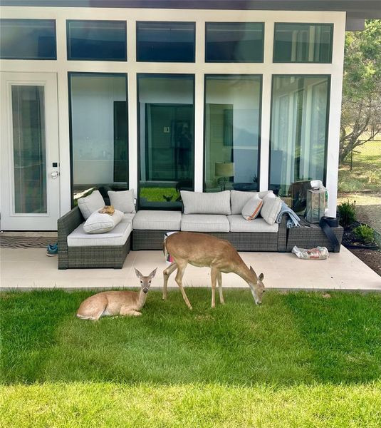 View of patio with an outdoor living space View of patio with an outdoor living space