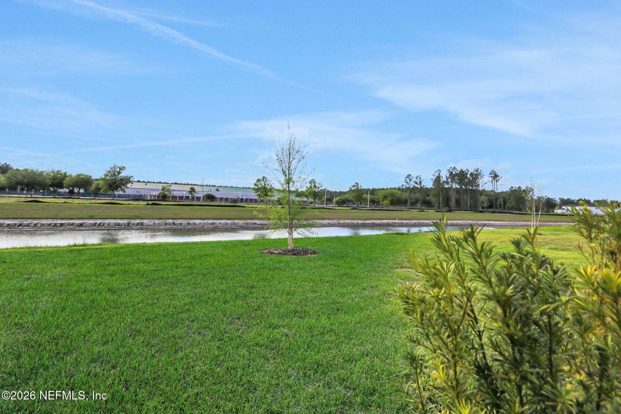 Natural landscape and outdoor views near Amberly in Green Cove Springs (Image 53).