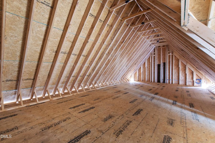 1500 Scales St Unfinished Attic 1