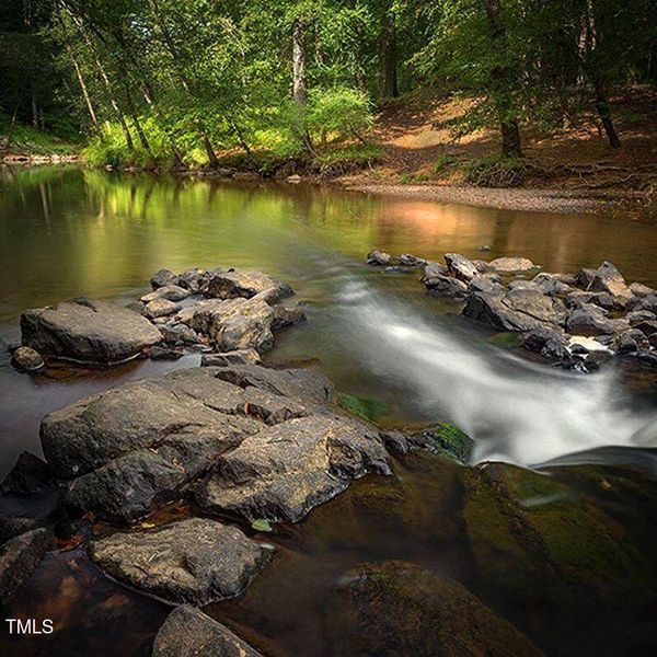 NC STATE PARK ENO