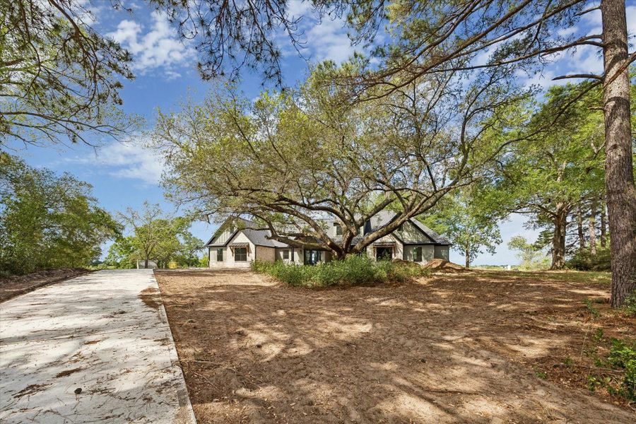 View of home from street.