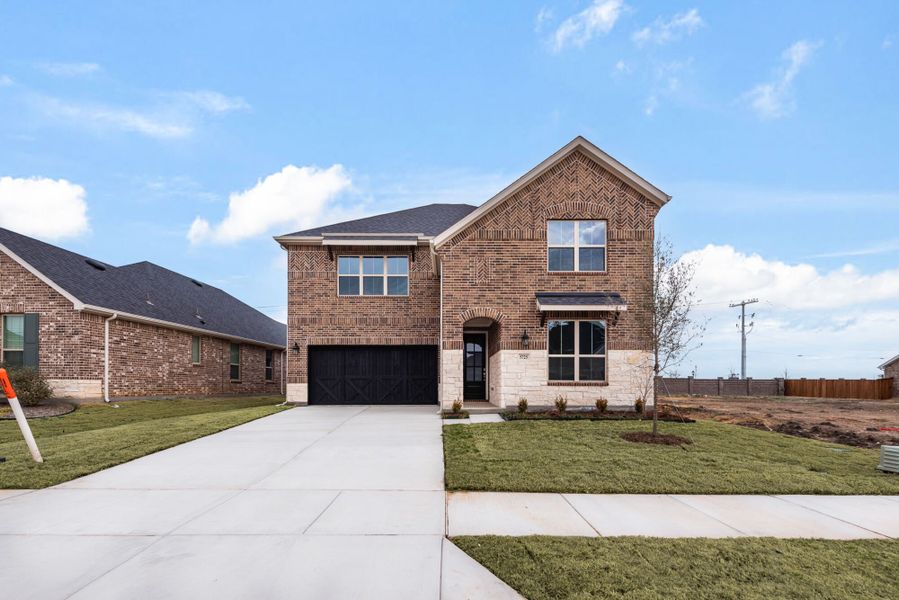 The Tiana - Old World Elevation