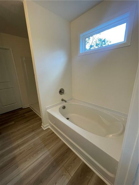 Furnished interior view inside a new home in Springwood Grove, Central (Image 10).