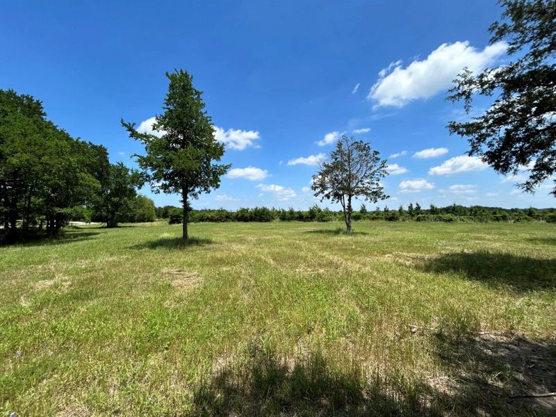 Natural landscape and outdoor views near in Mexia (Image 16). Natural landscape and outdoor views near in Mexia (Image 16).
