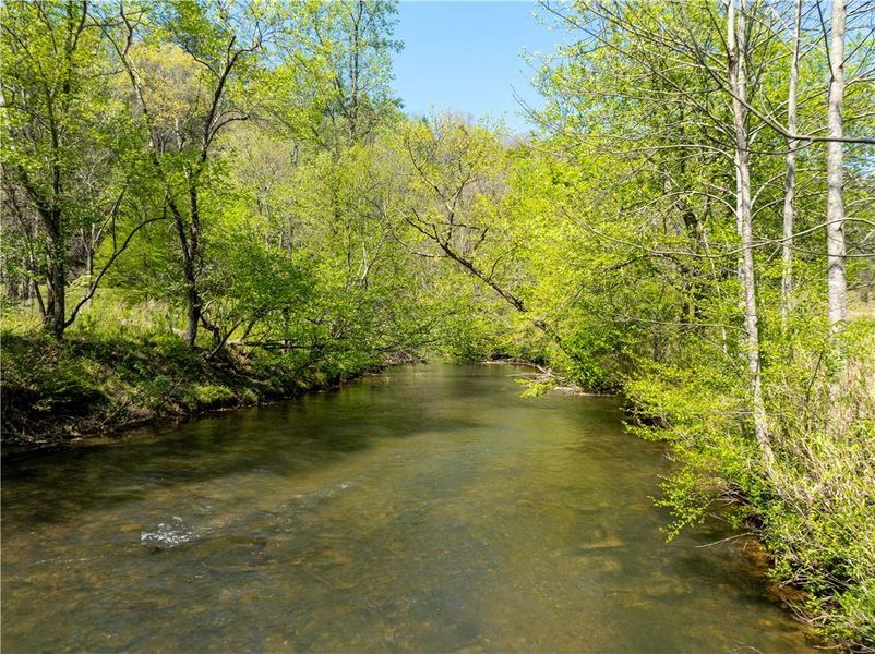 Natural landscape and outdoor views near  in Ellijay (Image 50).