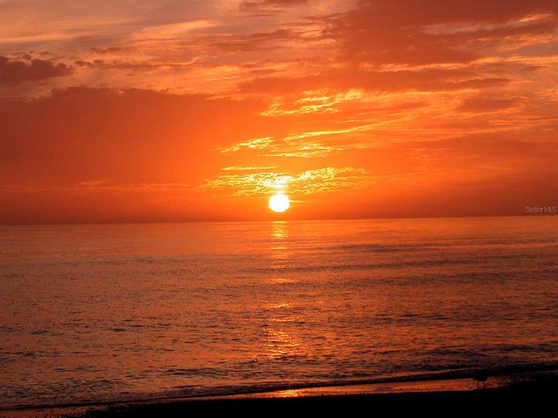 Natural landscape and outdoor views near  in Sarasota (Image 78).