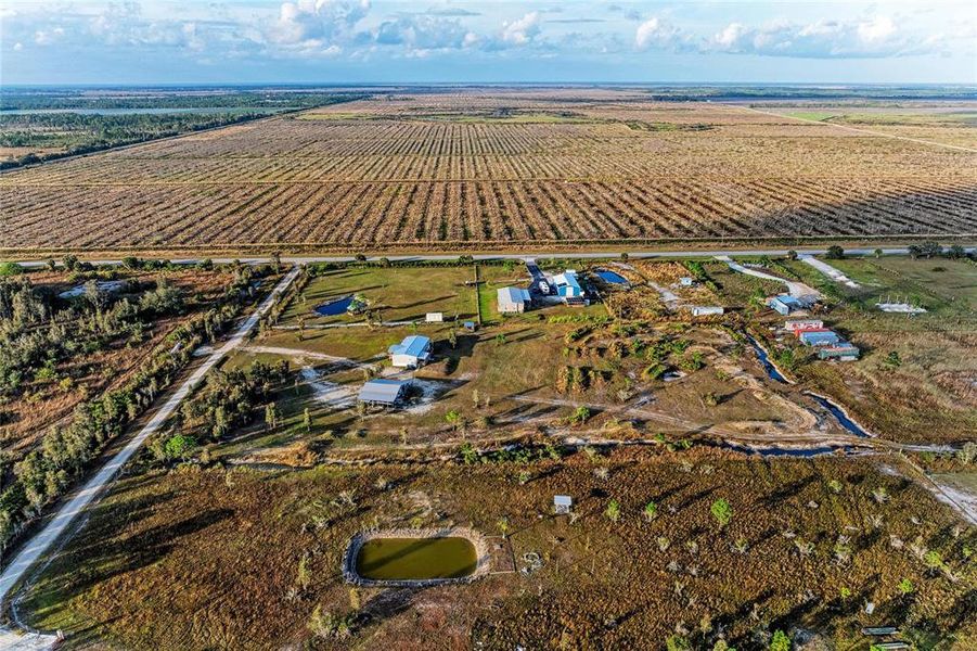 Site preparation for new homesites in , Punta Gorda (Image 43).