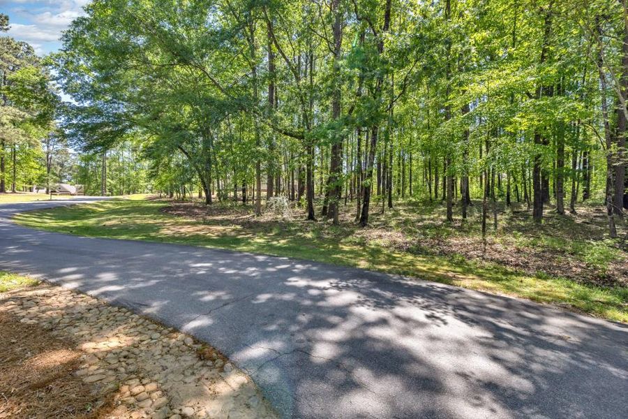 Natural landscape and outdoor views near  in Greensboro (Image 11).